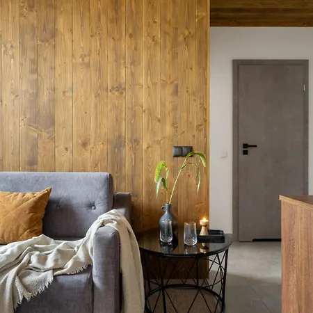 Krupowki 20 公寓 扎科帕内